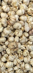 fresh garlic in the market