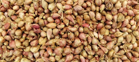 close up photo of a pile of Shallots