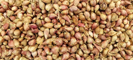 close up photo of a pile of Shallots