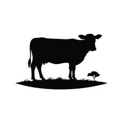 Silhouette of a cow in a field of grass with a small tree