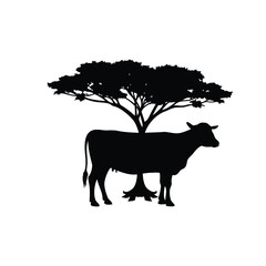 Silhouette of a cow under a tree on a white background design