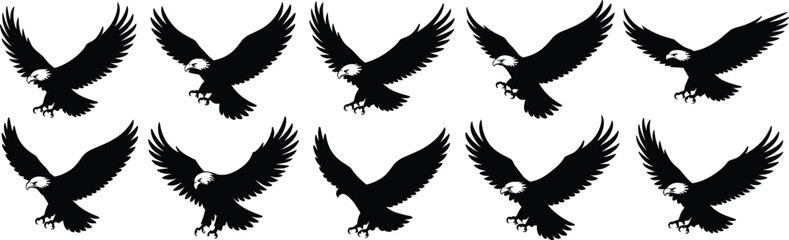 Obraz premium Bald eagle flying silhouette collection, black and white predator bird, hunting raptor vector illustration, wings spread majestic wildlife design flat vector illustration