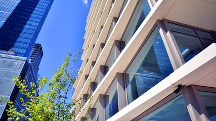 City life, urban landscape and ecology.  Modern office complex with glass facades and smooth lines against backdrop of green trees, concept of modern architecture. Organically building into nature.  