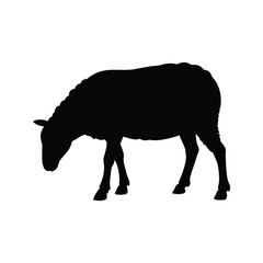 Black silhouette of a sheep grazing on a white background image