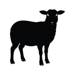 Silhouette of a sheep standing on a white background with detail