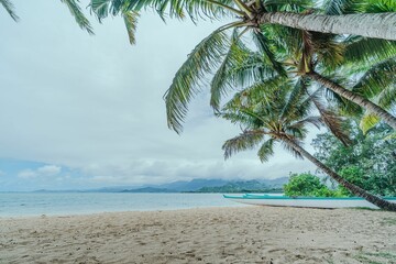 Tropical beach scene with palm trees, sandy shore, and a canoe.