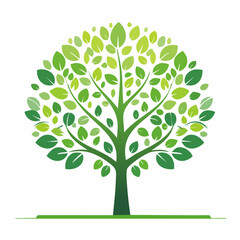 Green Tree Illustration with Lush Foliage