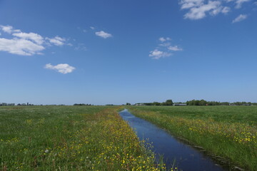 Fototapeta premium A Dutch horizon framed in green.