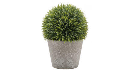 Artificial Grass Plant In Concrete Pot