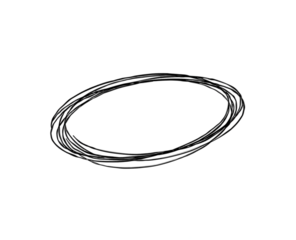 hand-drawn black circles and ovals for highlighting text.