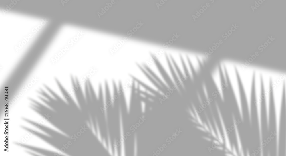 Poster serenity palm leaf soft shadow with window frame diagonal on transparent backgrounds 3d illustration