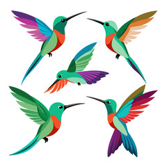Obraz premium A vibrant collection of five stylized hummingbirds in flight showcasing a variety of colorful wing patterns and sleek elongated beaks against a clean white background