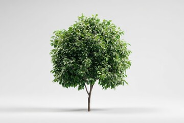 Vibrant green foliage against a minimal background, perfect for nature-inspired projects, sustainable branding, and eco-conscious digital or print media applications