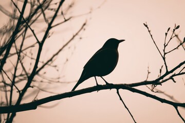 Minimalist bird silhouette illustration ideal for nature lovers and contemporary home decor enthusiasts