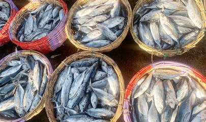 piles of fresh fish in a traditional market