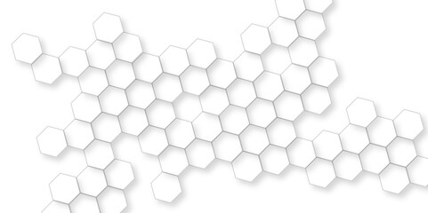 Abstract white hexagon concept background, soft white background, beautiful geometric pattern white gray hexagonal, illustration geometry science and technology.