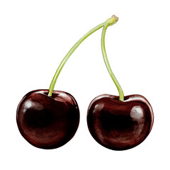 black cherry illustration