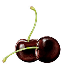 black cherry illustration