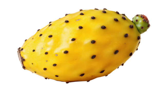 Yellow prickly pear fruit isolated on transparent background with fresh texture