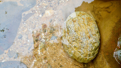 A rounded stone rests beneath crystal-clear water on a sandy riverbed, surrounded by small pebbles...
