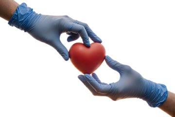   The Essence of Care: A compassionate depiction showcasing gloved hands delicately passing a vibrant red heart, symbolizing care, compassion, and the crucial role of health in the medical field.