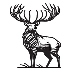 Majestic deer image vector