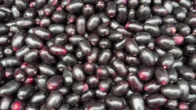Jambolan plum or jamun fruit. Jambolan plum background. Fruit video.