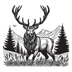 Majestic deer in the field image vector
