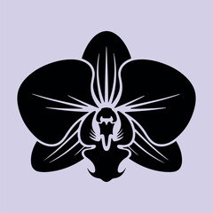 Orchid Flower Silhouette Vector – Elegant Black Floral Clipart Collection