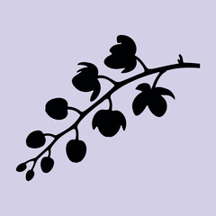 Orchid Flower Silhouette Vector – Elegant Black Floral Clipart Collection