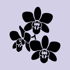 Orchid Flower Silhouette Vector – Elegant Black Floral Clipart Collection