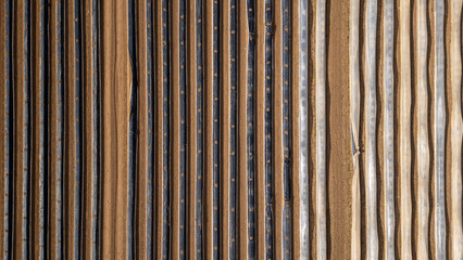 Spargelfeld mit Folienabdeckung in Reihenstruktur