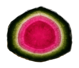 Watermelon tourmaline slice showing concentric rings of pink and green with radial symmetry