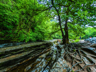 Long exposure Four Waterfalls walk, Waterfall Country, Brecon Beacons South Wales, United Kingdom