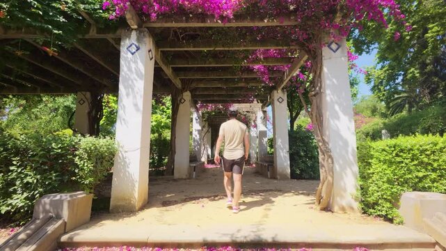 Video in 4k Man walking in Maria Luisa Park in Seville under a pergola shaded by bougainvilleas, natural environment, relaxing and full of history.
