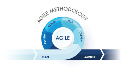 Agile methodology sprint life cycle chart. infographic software development. vector