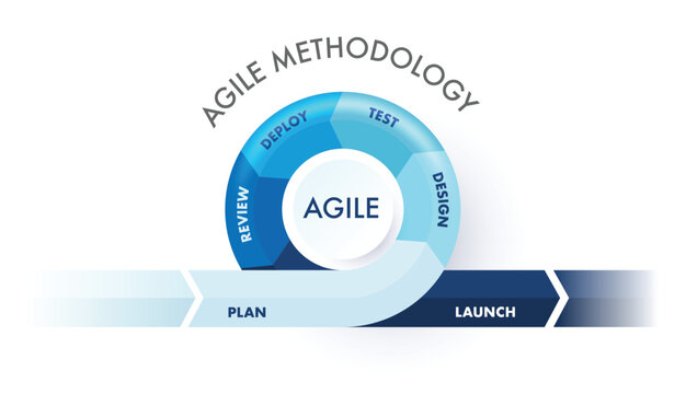 Agile methodology sprint life cycle chart. infographic software development. vector