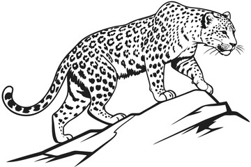 Illustration of a leopard gracefully walking down a rocky slope in black and white style