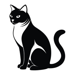 Elegant Black and White Cat Sitting Gracefully with a Curled Tail in Profile