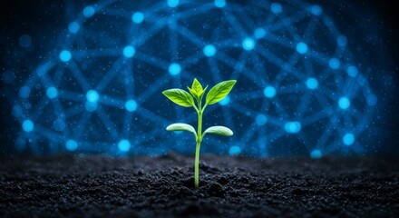 A young plant sprouts from dark soil, against a backdrop of a glowing network
