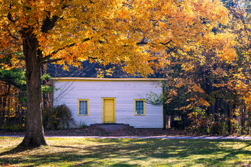 Cozy white cottage with yellow trim surrounded by vibrant fall foliage. A large  tree with golden leaves frames the scene, evoking warmth and seasonal charm.