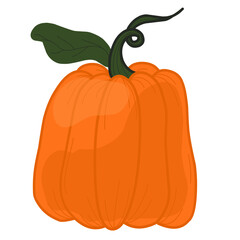 pumpkin on a white background
