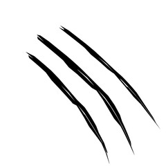 hand drawn vector illustration of a scratch clawn animal