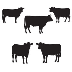 Silhouette Collection Five Cattle Cow Designs for Projects