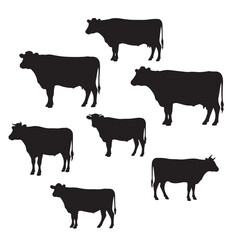 Silhouette Collection Seven Cow Illustrations, Farm Animals Graphics