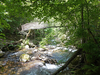 In der Caranca-Schlucht Südfrankreich Pyrenäen