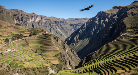 Majestic Canyons: Nature's Grand Carvings

