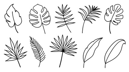 Tropical leaves line art bundle, Outline botanical vector icons including monstera, palm, banana, fern, palm fan silhouettes