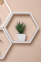 Hexagonal honeycomb shelves with decor on beige background. Wall decoration