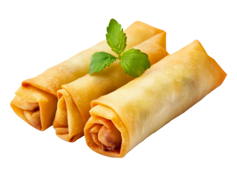 Deep fried spring rolls snack